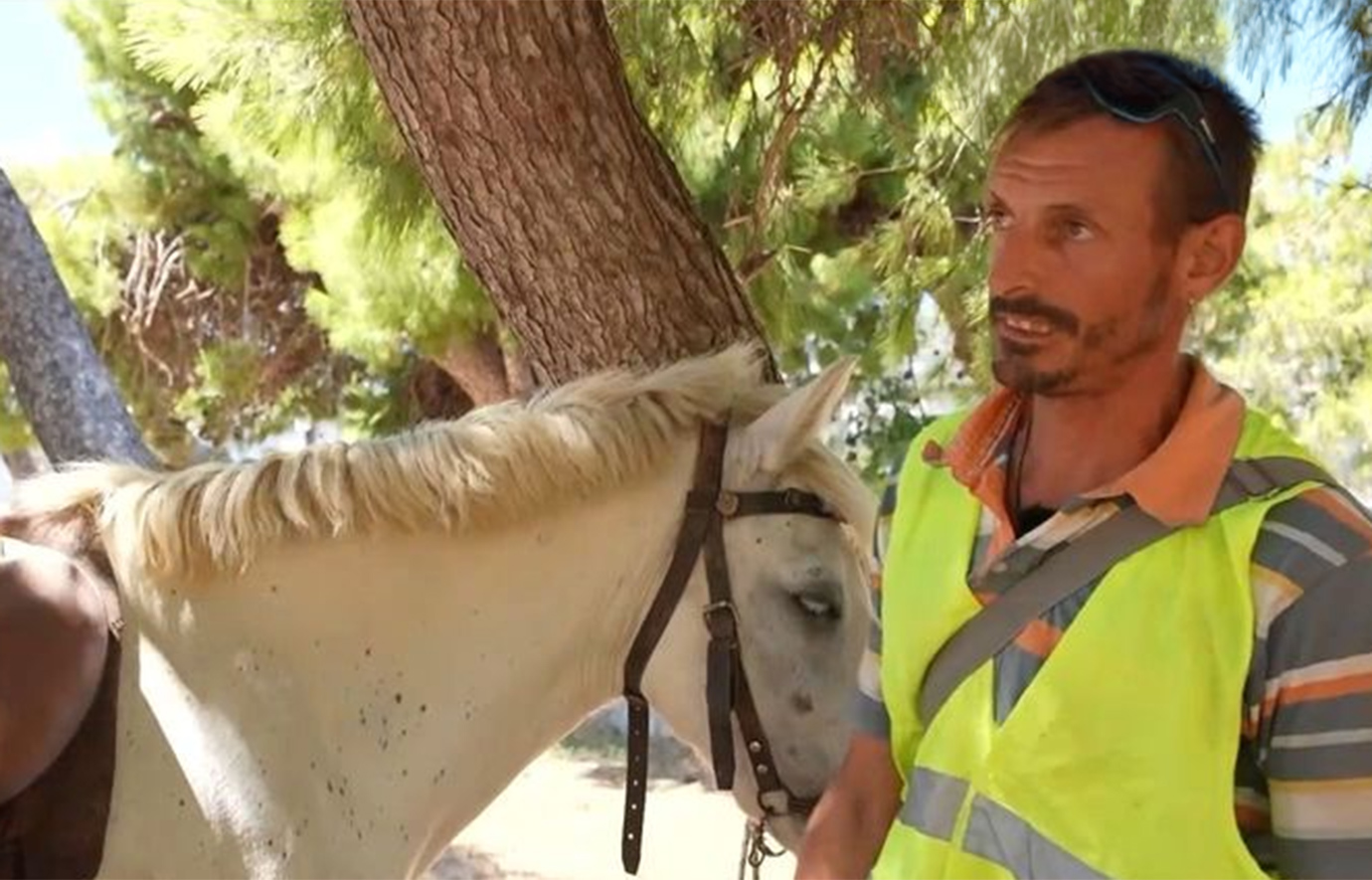 Άνδρος &#8211; Πρόστιμο 700 ευρώ σε αναβάτη αλόγου μετά από αλκοτέστ: «Μπορεί να ήταν λίγο επικίνδυνο»