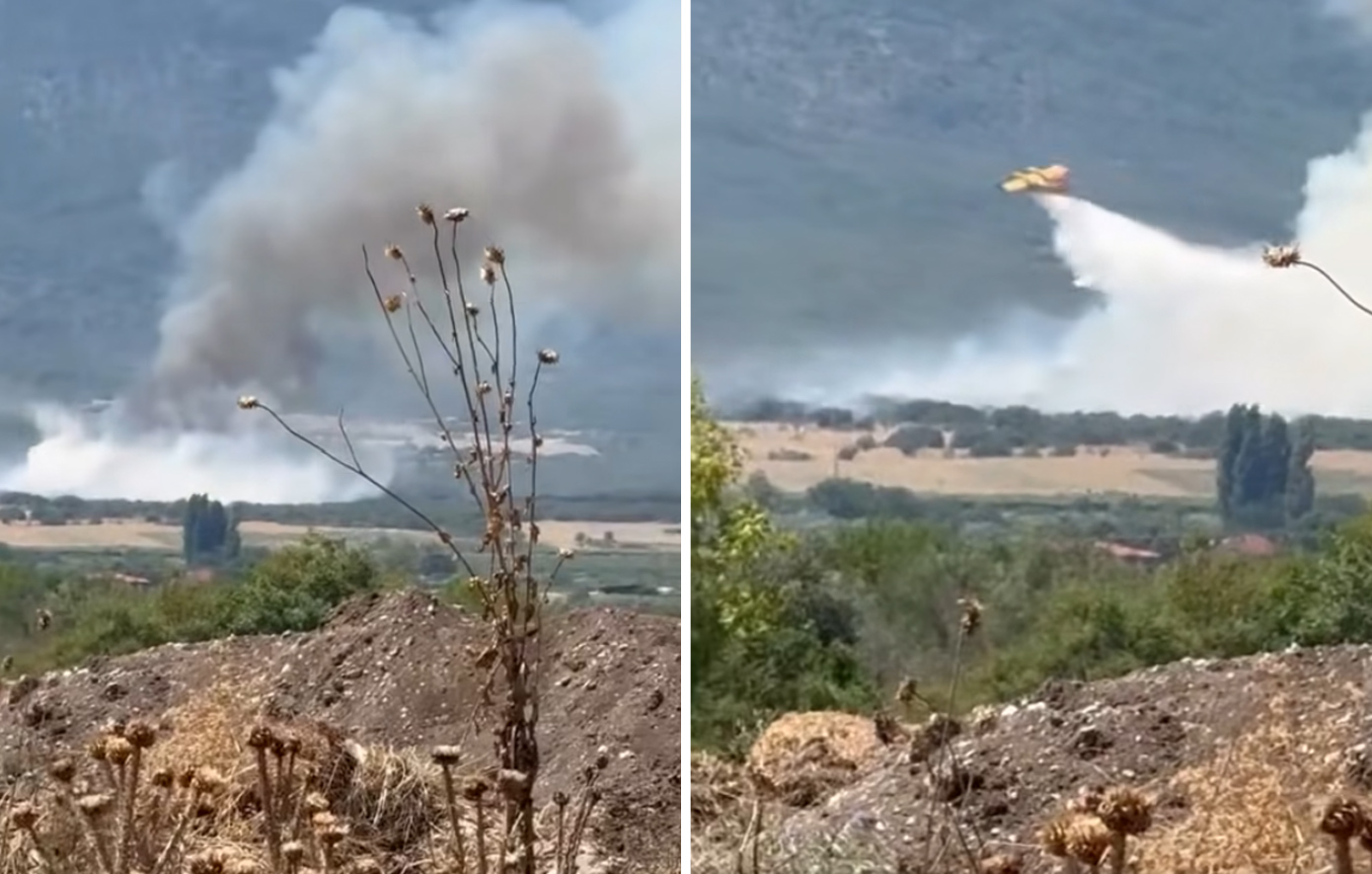 Κατερίνη: Οριοθετήθηκε η φωτιά που ξέσπασε στη Βροντού