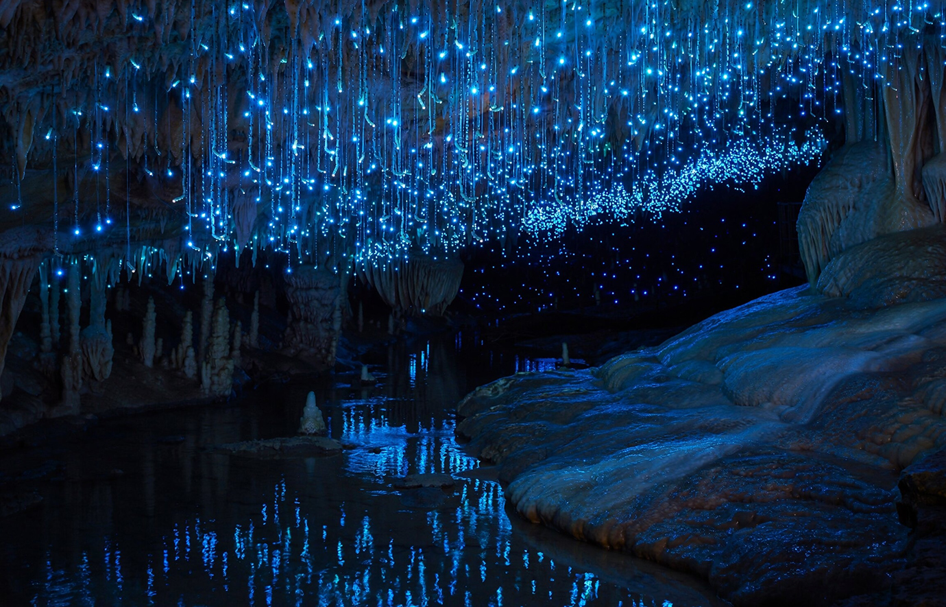 Waitomo Glowworm Caves: Το σπήλαιο στη Νέα Ζηλανδία που μοιάζει με έναστρο ουρανό