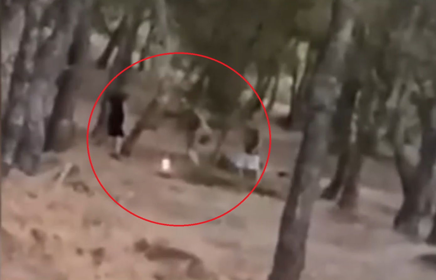 Τρομακτικό challenge ανηλίκων στα Βριλήσσια: Βάζουν φωτιά και μετά προσπαθούν να τη σβήσουν &#8211; Δείτε βίντεο