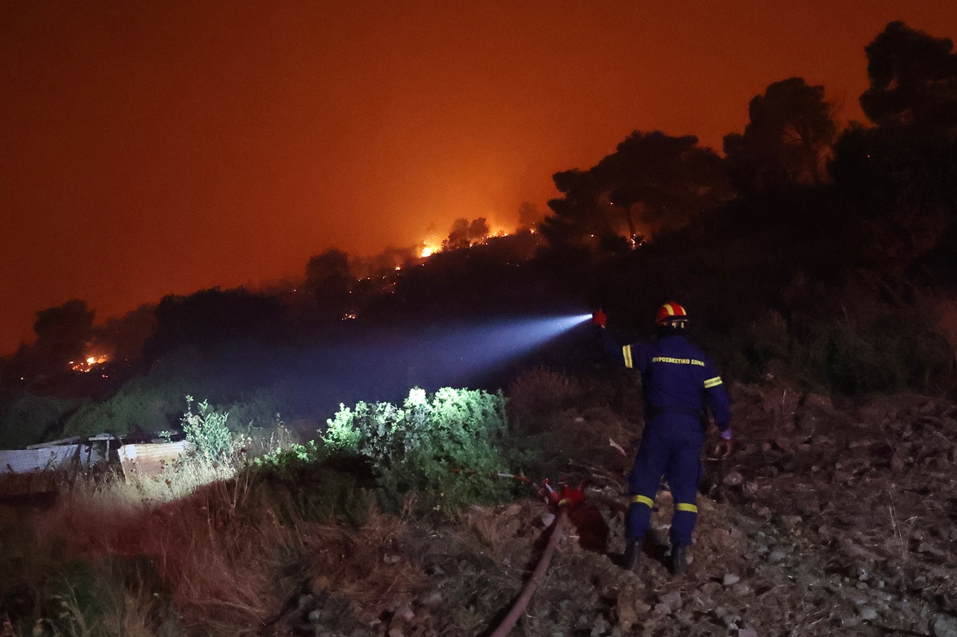 Ολονύχτια μάχη με τις φλόγες σε τρία μέτωπα στη Δυτική Αττική – Επί ποδός οι πυροσβεστικές δυνάμεις