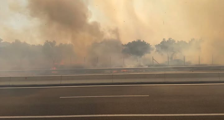 Φωτιά τώρα στο Τραγανό Ηλείας – Έκλεισε τμήμα της Ολυμπίας Οδού