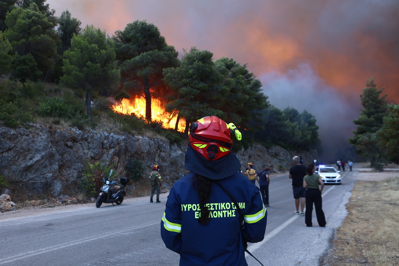 Αρτοποιός για φωτιές: «Ολονύκτιες επίγειες επιχειρήσεις σε Αττικοβοιωτία και Σκάλωμα Φωκίδας»
