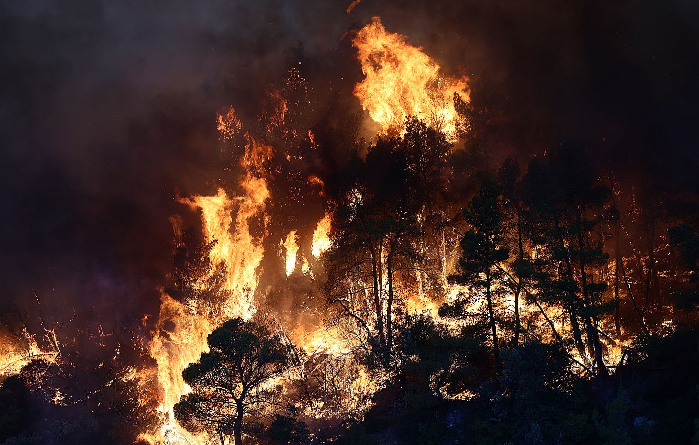 Χιλιάδες στρέμματα στάχτη, δεκάδες σπίτια καμένα και συνεχείς εκκενώσεις &#8211; Νύχτα αγωνίας σε Πόρτο Γερμενό και Φωκίδα