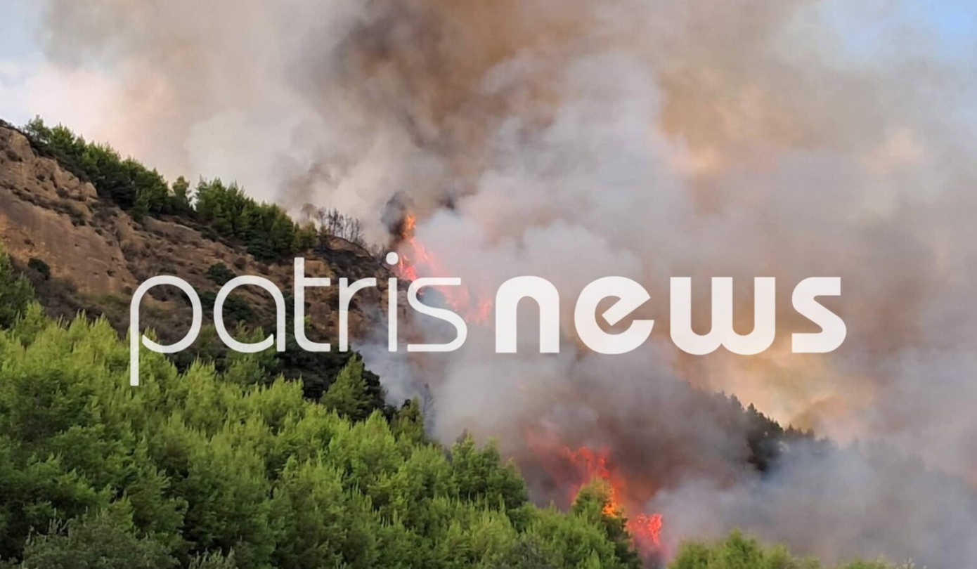 Φωτιά στο Μουζάκι Ηλείας: Οι φλόγες καίνε πεύκα στην είσοδο του χωριού &#8211; Μεγάλη δύναμη της πυροσβεστικής στο σημείο
