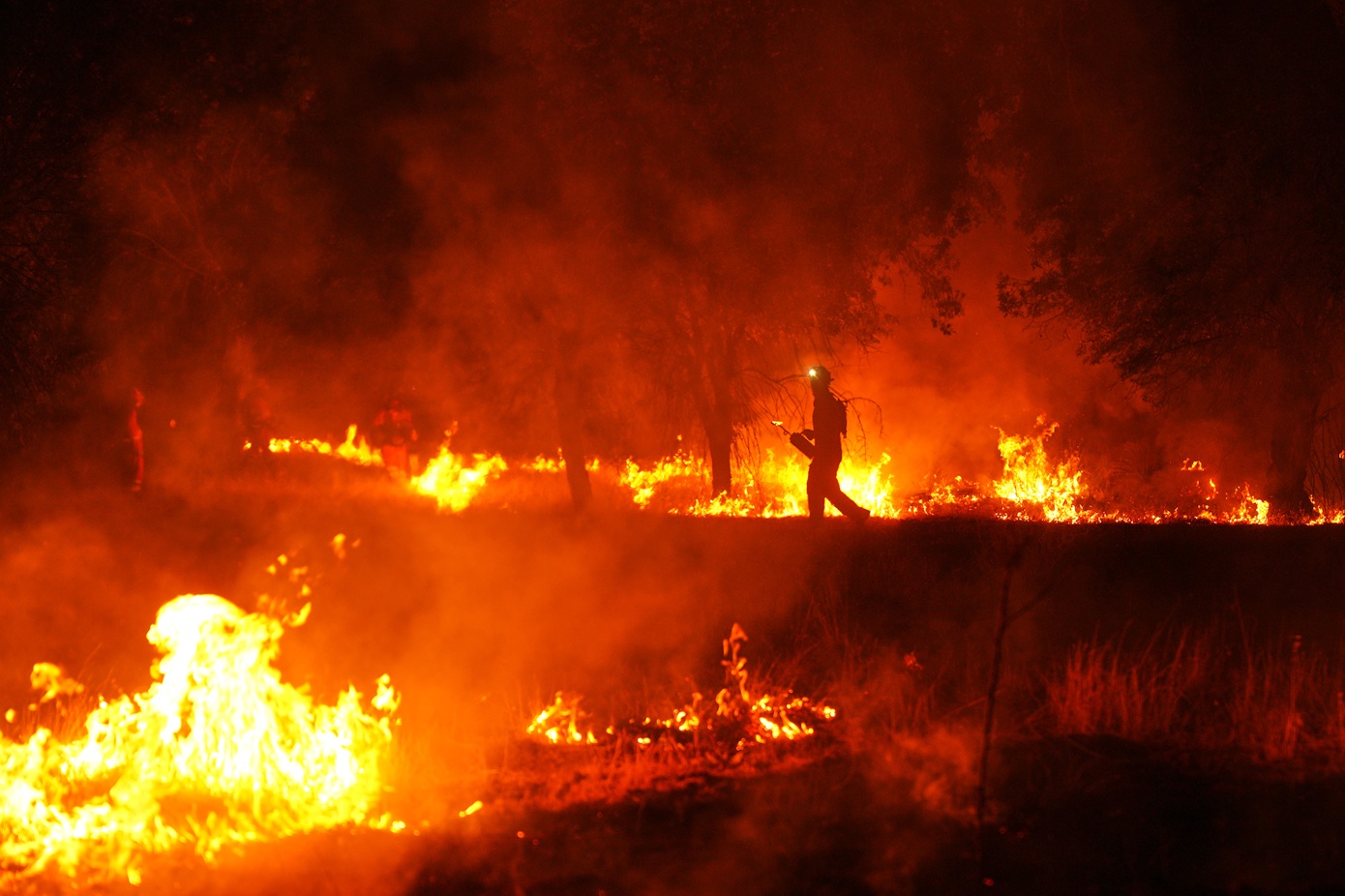 Συναγερμός στη Βαλένθια – Εκκενώνεται κοινότητα λόγω δασικής πυρκαγιάς