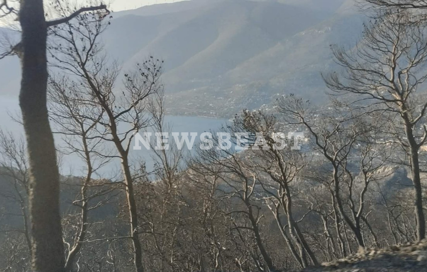 Οδοιπορικό του Newsbeast στα πύρινα μέτωπα της Δυτικής Αττικής – Εικόνες από Ψάθα και Λούμπα