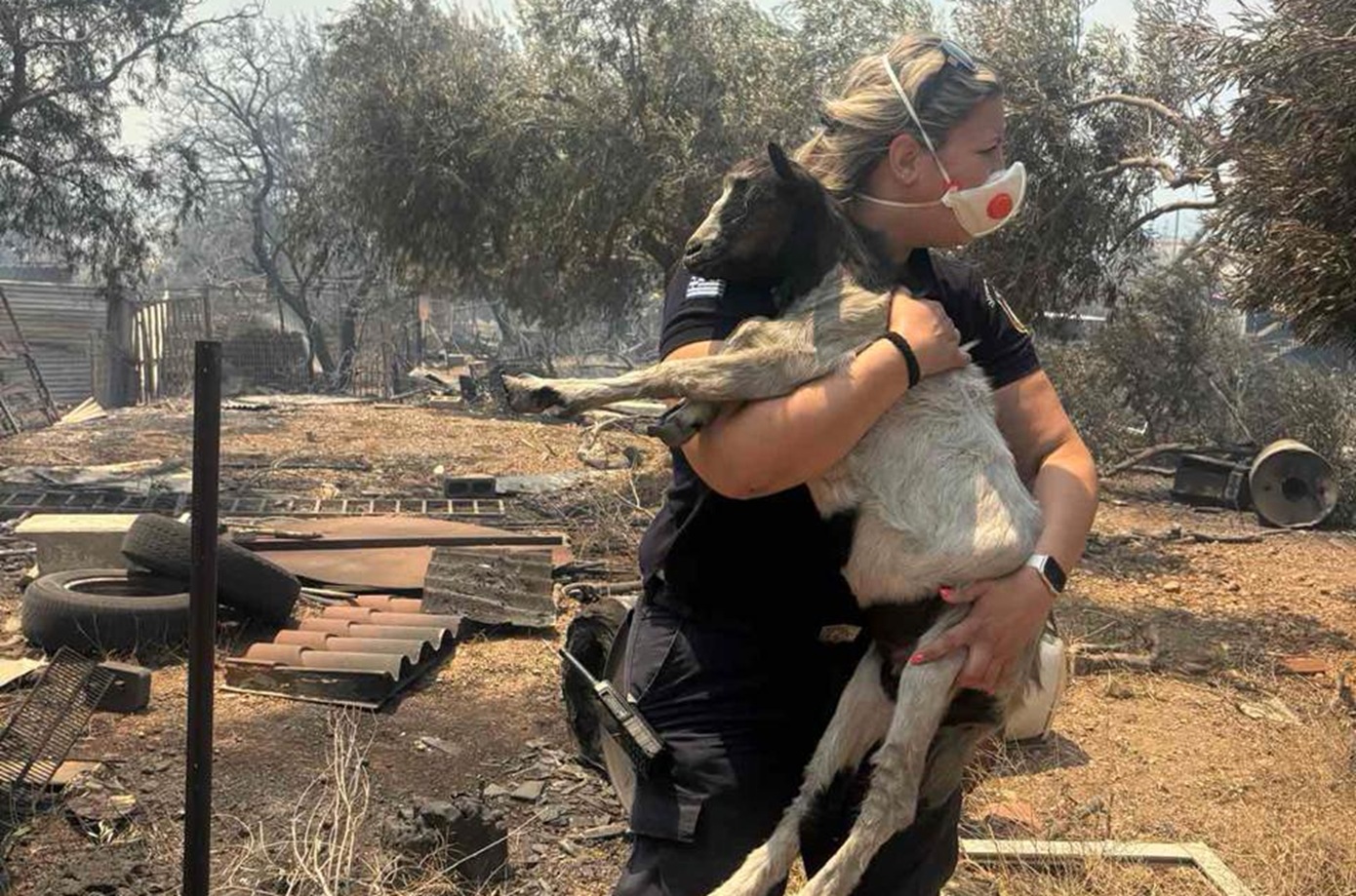 Η «πύρινη Οδύσσεια» των ζώων: Δεκάδες σώθηκαν από τις φλόγες και βρήκαν καταφύγιο στα Βίλια – Οι φωτογραφίες της ΕΛ.ΑΣ.