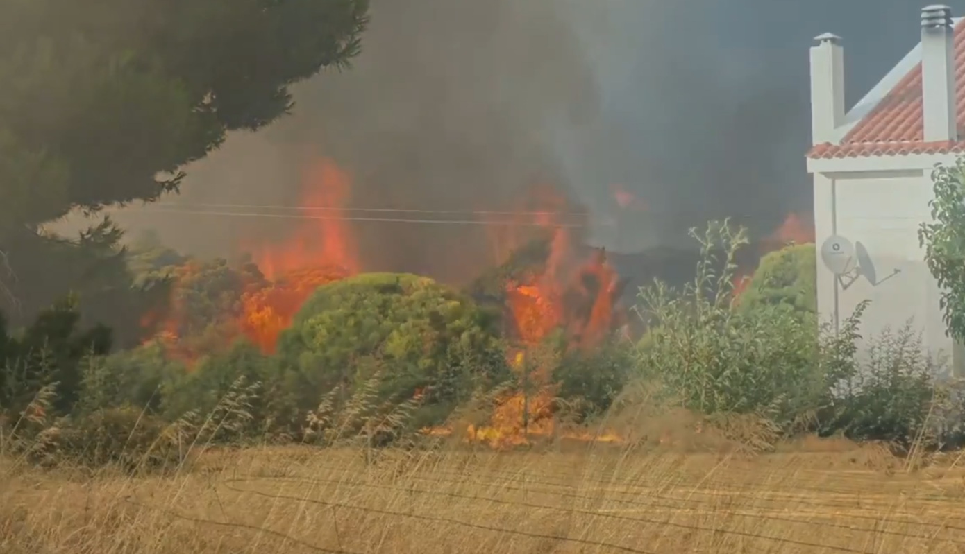 Απίστευτη μάχη με τις φλόγες για να σωθεί οικισμός: Πυροσβέστες, εθελοντές και κάτοικοι έγιναν ανθρώπινο τείχος