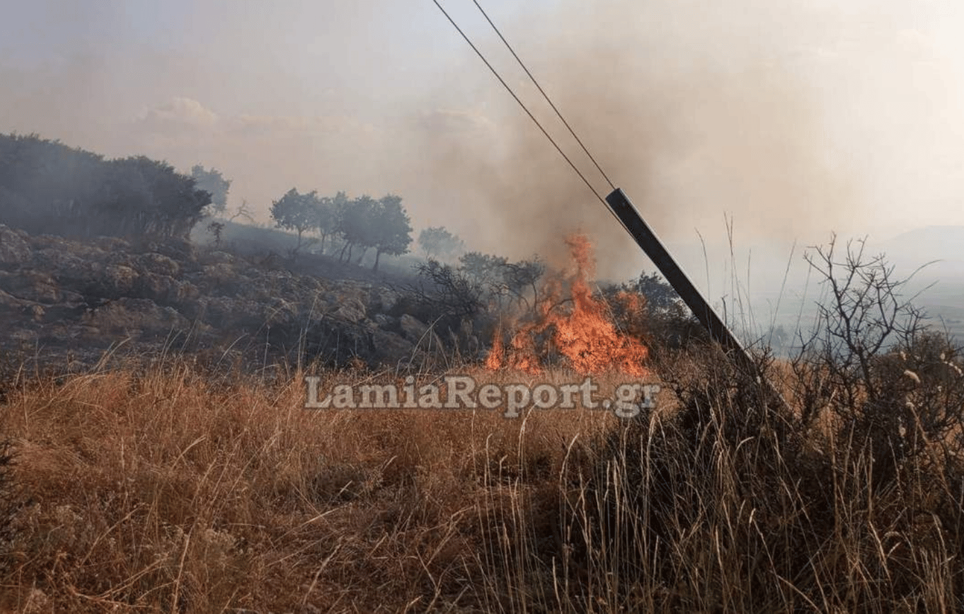 Φωτιά στη Φθιώτιδα: Πυρκαγιά κοντά στο Βαθύκοιλο – Σηκώθηκαν τα PZL από τη Λαμία