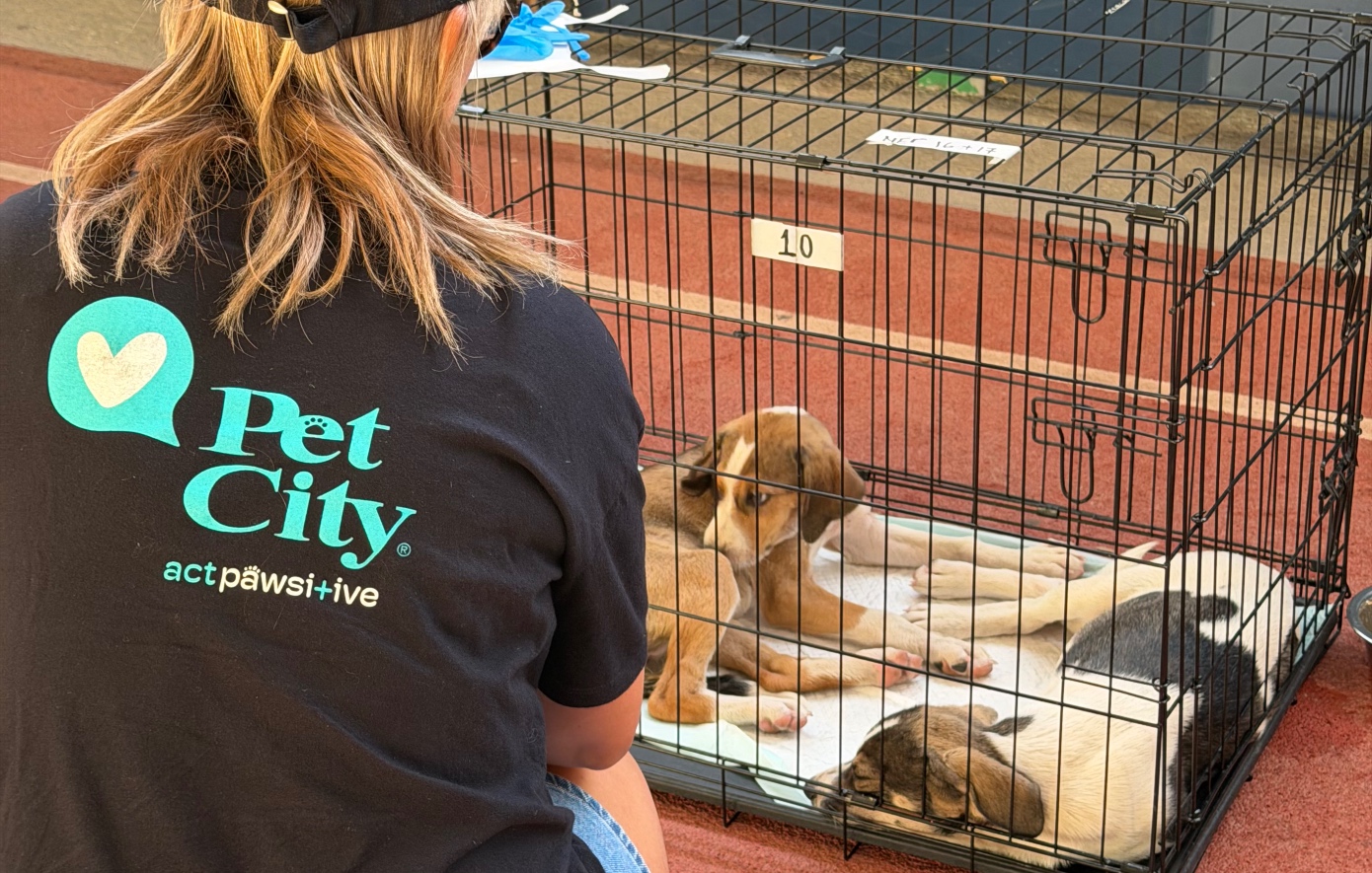 Τα Pet City στηρίζουν έμπρακτα τα πυρόπληκτα ζώα, σε συνεργασία με τη Dogs&#8217; Voice