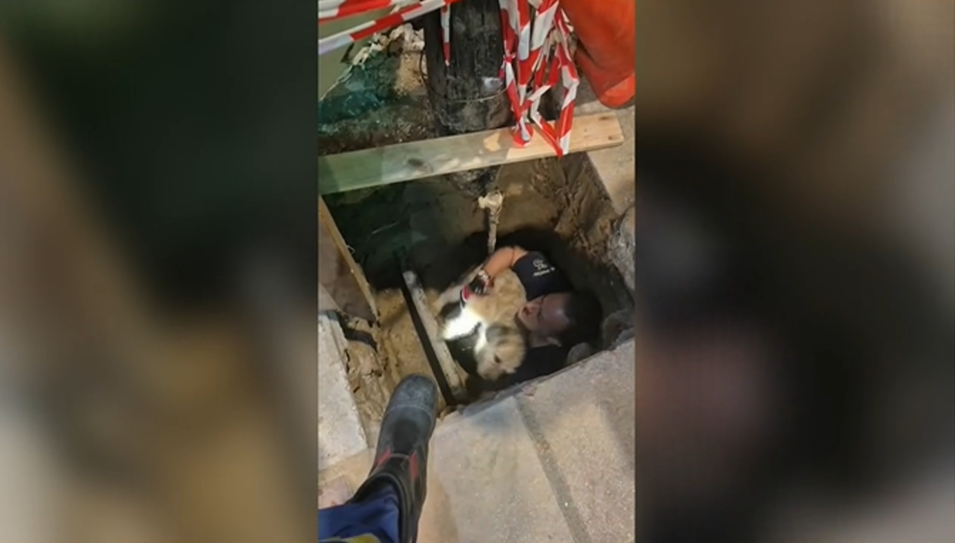 Σκύλος έπεσε σε τρύπα τριών μέτρων στη Θεσσαλονίκη και τον έσωσαν οι πυροσβέστες