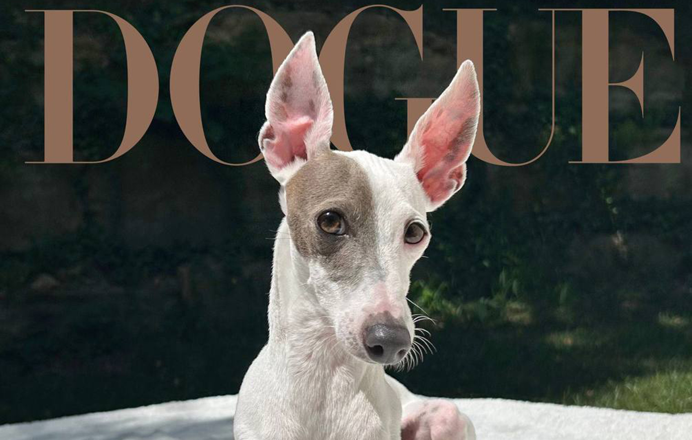 Vogue «Dogue»: Ποιος είναι ο νικητής του διαγωνισμού που έγινε εξώφυλλο στο πασίγνωστο περιοδικό μόδας