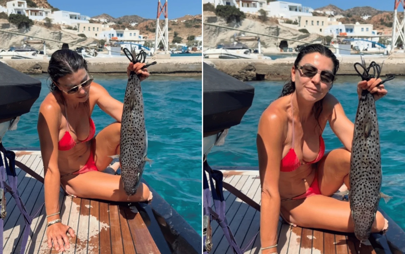 «Τον βρήκαμε ανοιχτά στο πέλαγος, νεκρό» – Τι διευκρινίζει για τον λαγοκέφαλο η Μαρίνα Βερνίκου