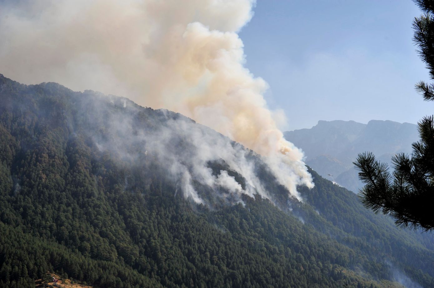 Κόνιτσα: Βελτιωμένη η εικόνα της φωτιάς στην Τραπεζίτσα – 6.290 στρέμματα έγιναν στάχτη &#8211; Συνεχίζουν να επιχειρούν τα εναέρια