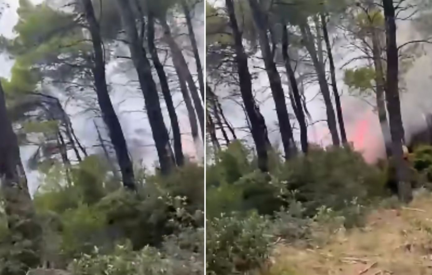 Φωτιά τώρα στις περιοχές Άγιος Αθανάσιος και Τριάδα στην Εύβοια