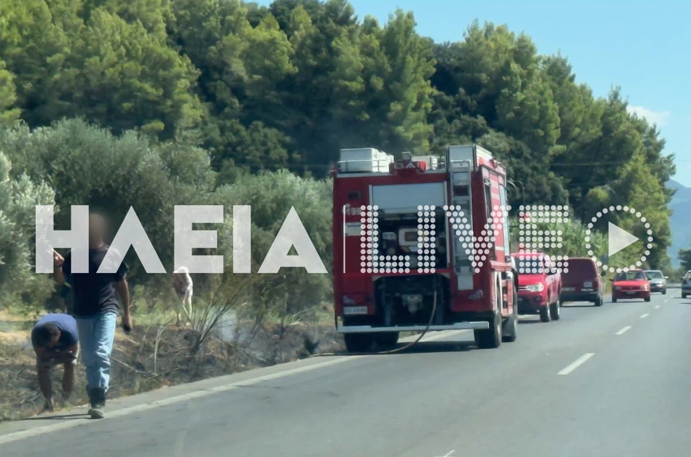 Ηλεία: Δύο πυρκαγιές μέσα σε λίγα λεπτά – Άμεση επέμβαση της Πυροσβεστικής
