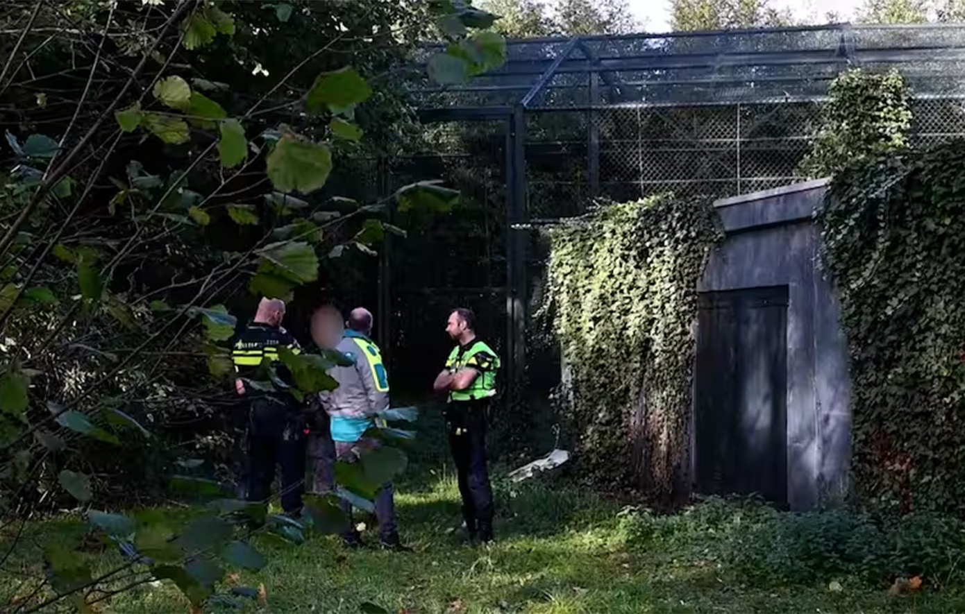 Τραγωδία στην Ολλανδία: Υπέκυψε στα βαρύτατα τραύματά της η υπάλληλος που δέχτηκε επίθεση από πάνθηρα σε πάρκο άγριας ζωής