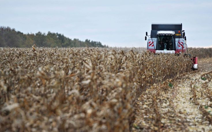 Ukraine: Ready to export 280,000 tons of agricultural products
