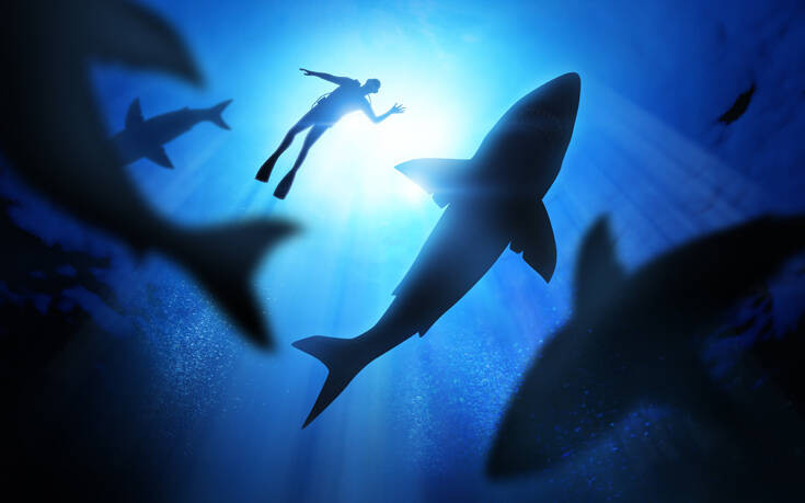 A 44-year-old American tourist died in a shark attack in the Bahamas