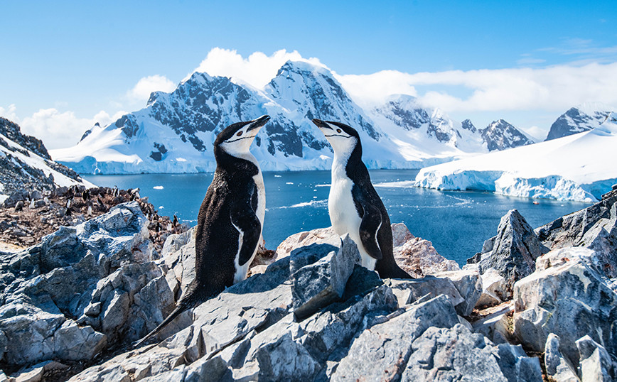 USA: To create an ambassador position in the Arctic