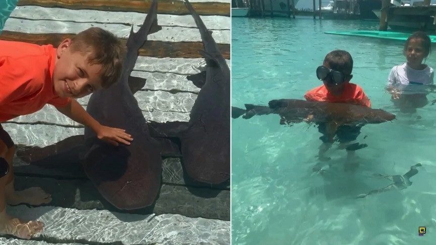 Terror in the Bahamas: 8-year-old was attacked by sharks