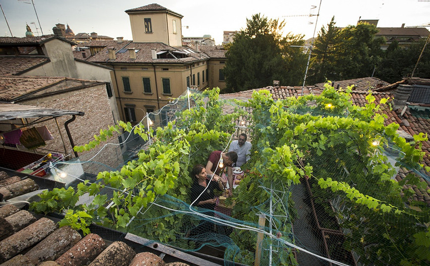 The smallest vineyard in the world sells wines for 5,000 euros each