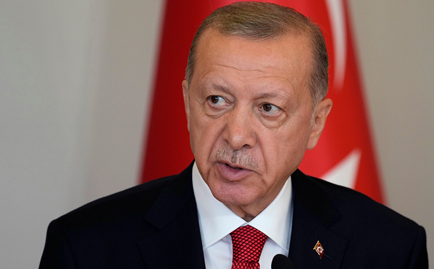 Erdogan: Export grain from Russia as well – Is Putin right about exports from Ukraine