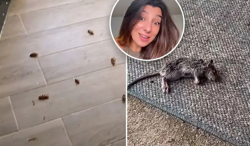 She lashes out at her ‘greedy’ landlord who raised the price by 0 on an apartment infested with mice and cockroaches