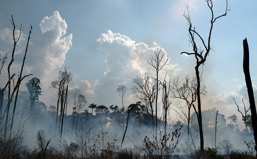 “Red alert in the Amazon: 26% is irreparably damaged