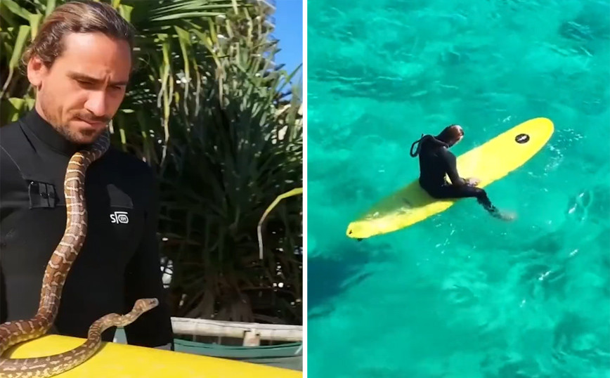 Man fined for surfing with a python wrapped around his neck in Australia