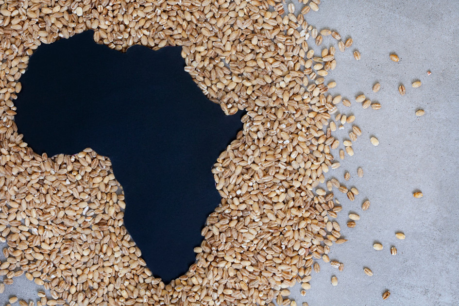 Putin’s new ‘weapon’ is bread – Moscow’s Africa influence plan moves ahead with free grain shipments