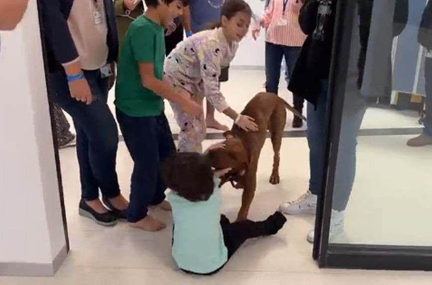 Heartwarming video of moment three young Hamas hostage siblings reunited with their dog