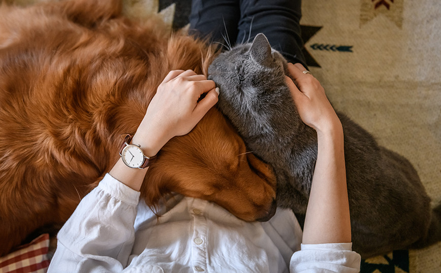 Mom Leaves .8M Inheritance to Pets Because Her Kids Never Visited Her When She Was Sick