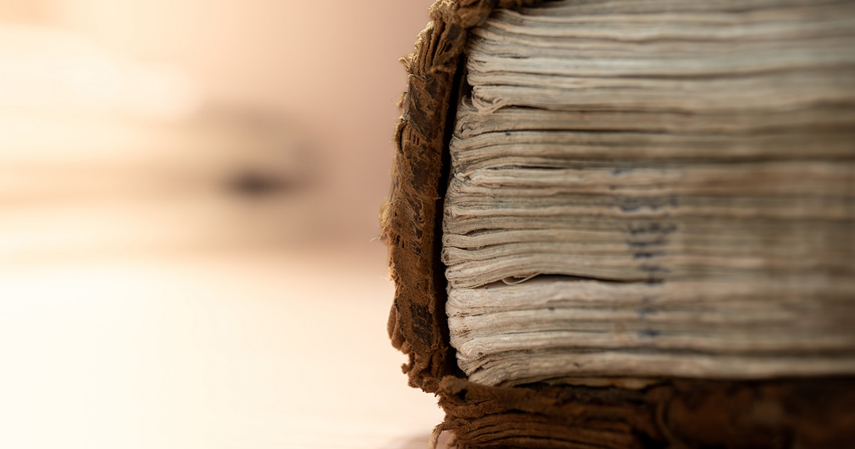Harvard removed book binding made from human skin