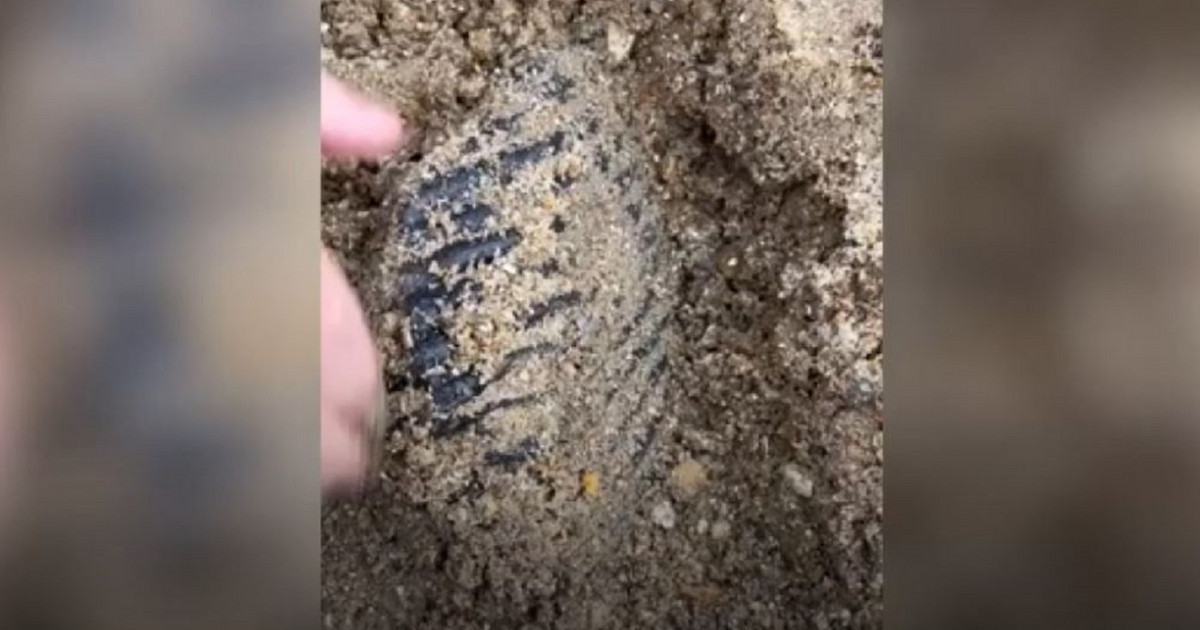 He went for a walk on the beach and found a 1.8 million year old mammoth tooth