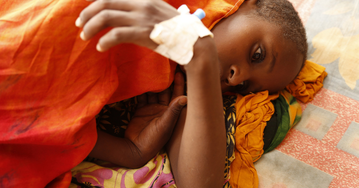SOS from the UN on the increase of cholera cases in Somalia – Since the beginning of 200 the cases are almost 4,400