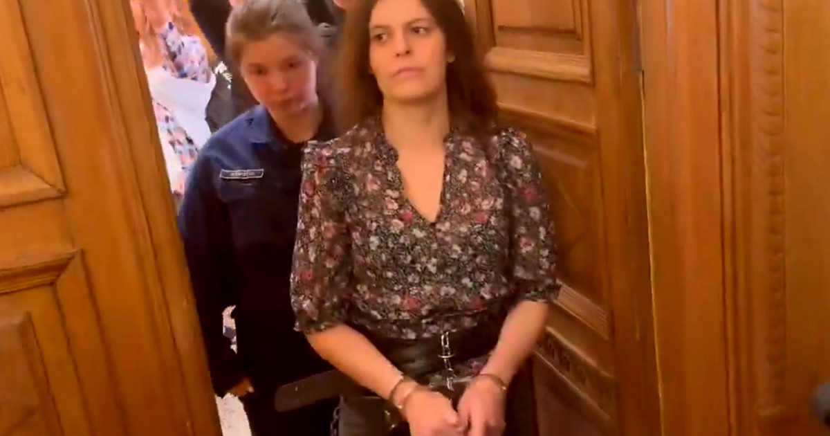 Ilaria Salis, who is accused of attacking a neo-Nazi, is in chains in court
