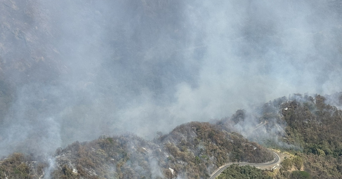 Twelve arrests in Venezuela for devastating forest fires