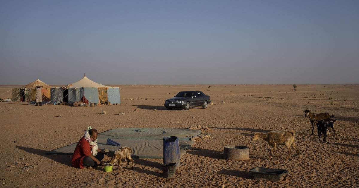 The European Commission is accused of financing the abandonment of migrants in the Sahara