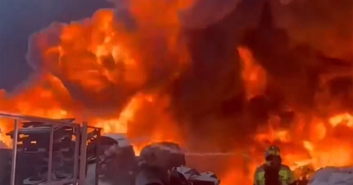 Over 10 million hectares of forest lands have been engulfed in flames in Russia