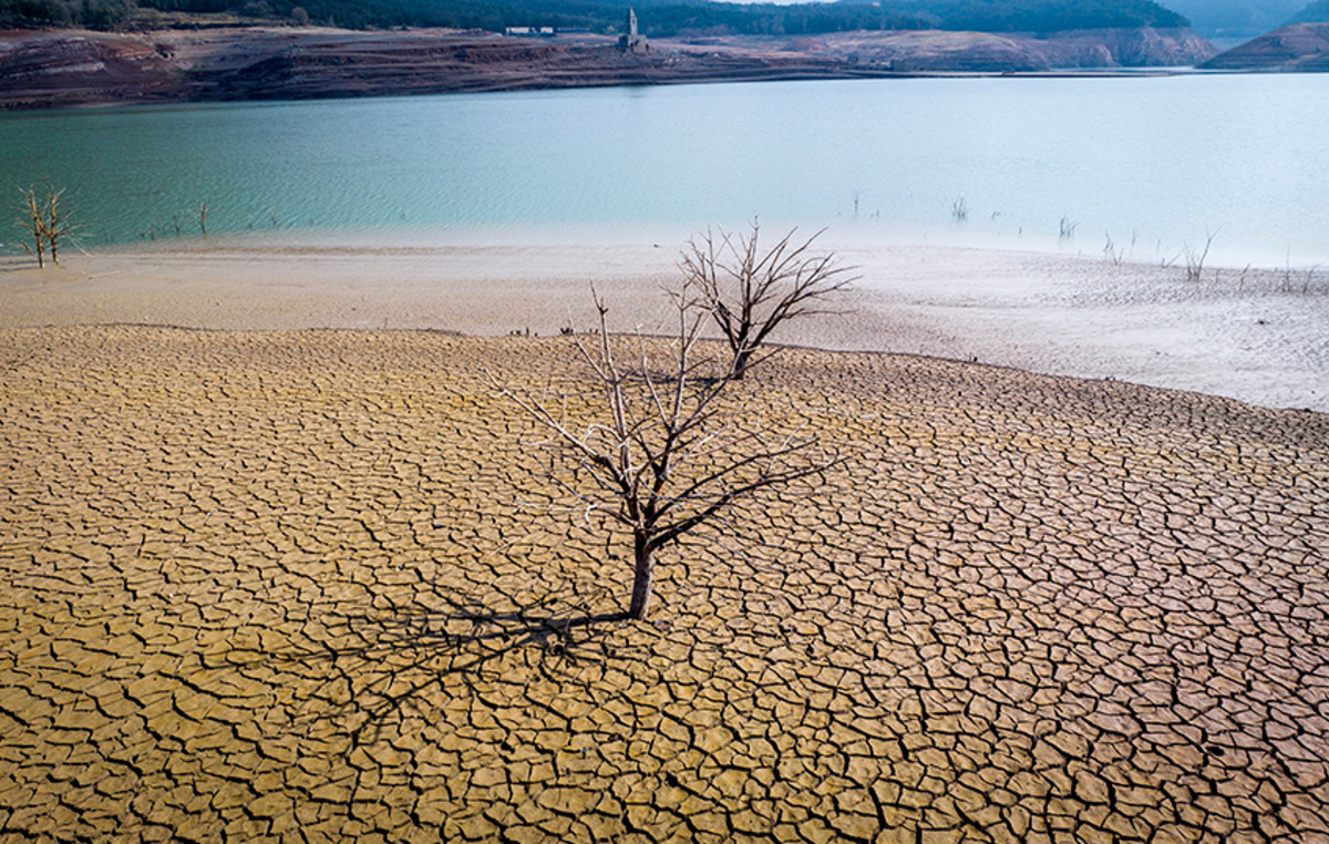 Drought threatens up to 15% of production in the eurozone, the European Central Bank warns