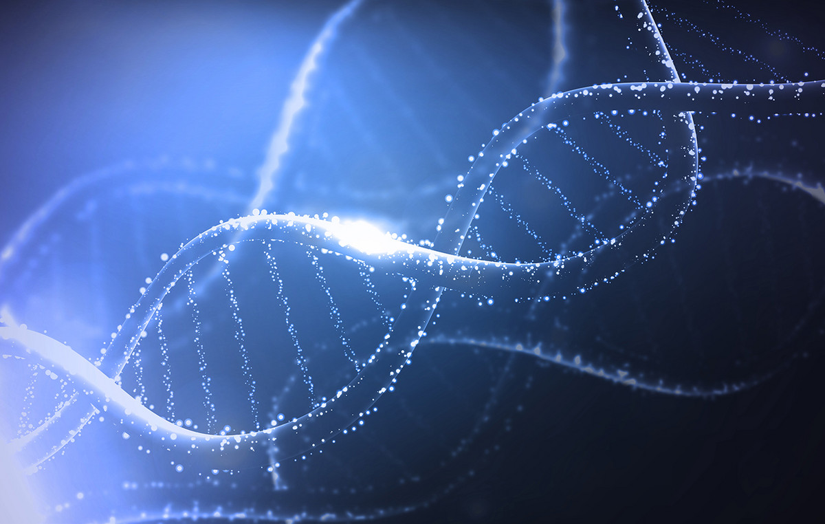 Mysterious skeletons of 6,000 years old with unprecedented DNA rewrite human story