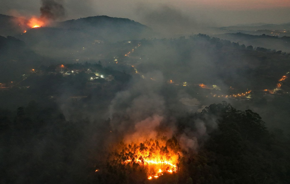 The surface burned in the Amazon rainforest in Brazil was reduced by 65%