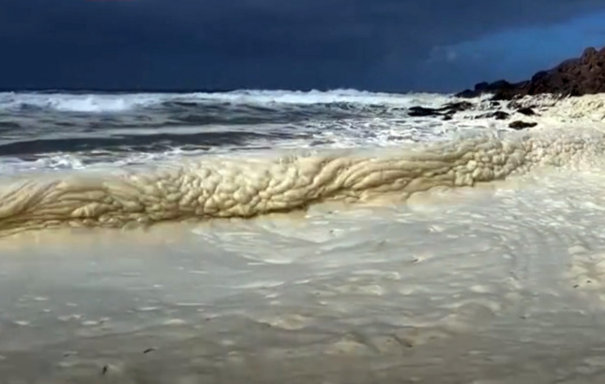 Dead fish and surfers with respiratory problems due to mysterious foam flooding beaches