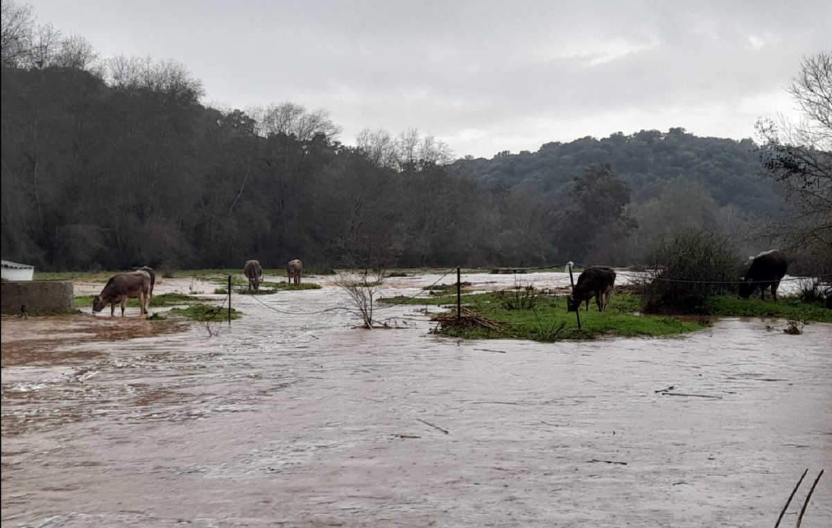 Laurence storm causes floods and problems with commuting in Spain