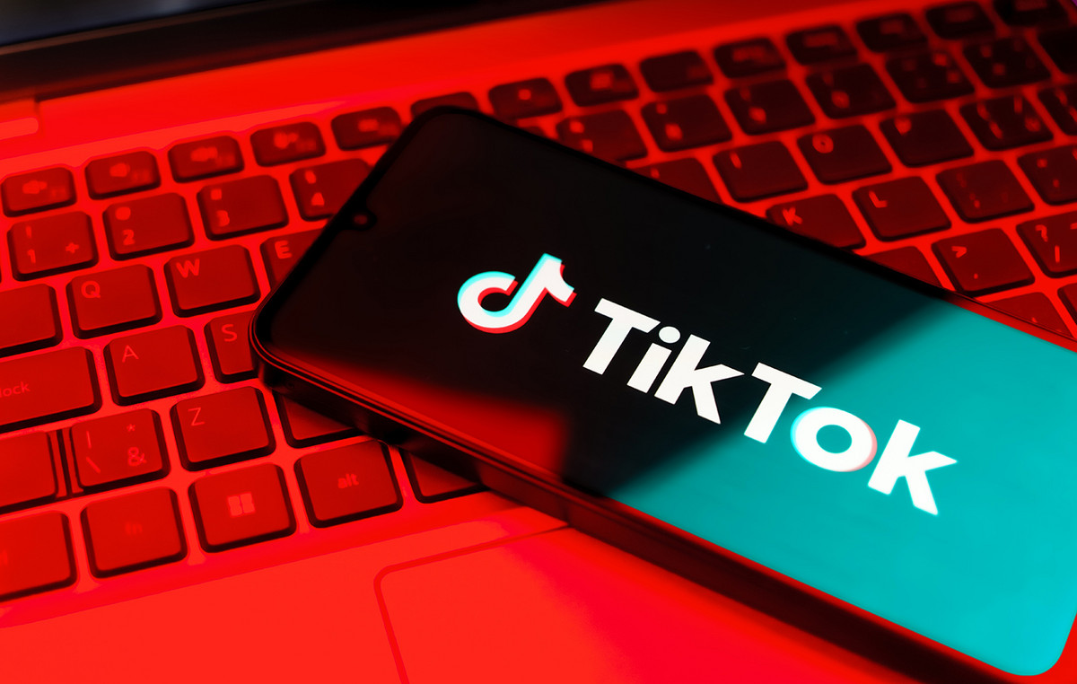 “Tiktok ads violate the law on digital services,” the European Commission says