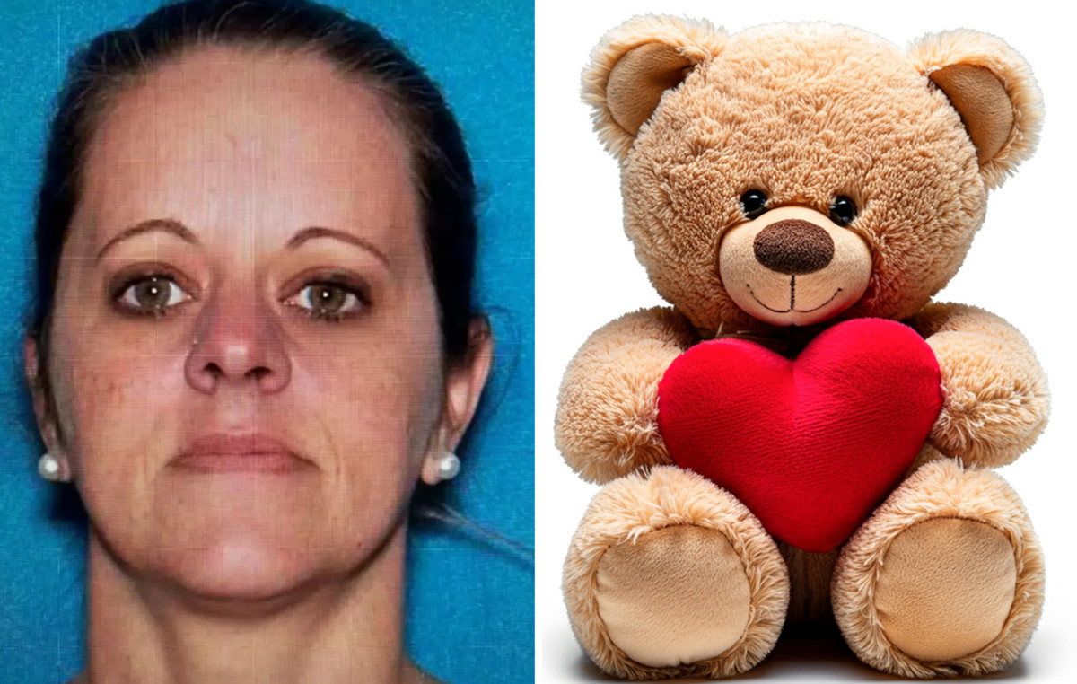 The home -owned homeowner raid and 600,000 in giant teddy bear