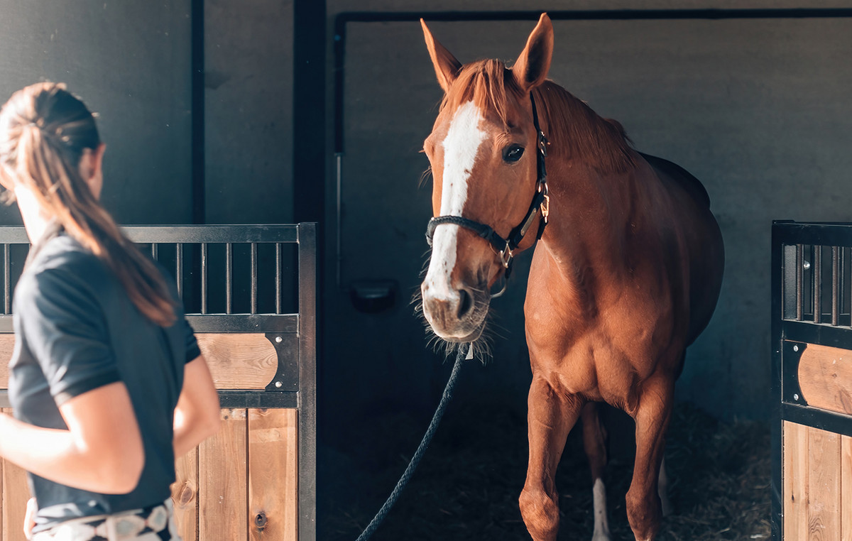 They built a million villas instead of a stallion sperm collection center and make them eviction – the incredible fraud
