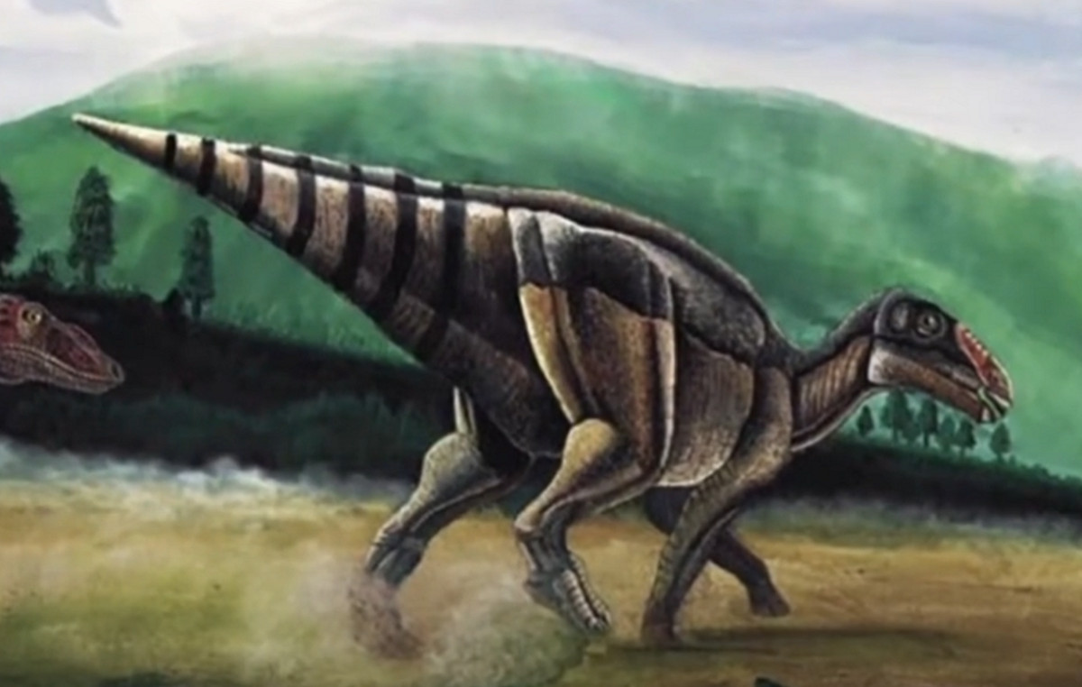 Cancer answers may be hidden in tumor in the dinosaur jaw